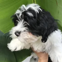 processed/bef54f2d-6780-4c80-a7b4-26988eab6e92/facility/fefa378f-6c63-4eb9-a728-631318505843