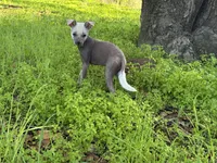 processed/bef5fd14-68c0-4b0a-bd87-492e32907841/listing/3e7c9a34-9de6-4fe3-aef3-4402349aeb8c/49e9fca5-1e4d-4e44-8990-585a375f9a4e