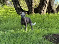 processed/bef5fd14-68c0-4b0a-bd87-492e32907841/listing/3e7c9a34-9de6-4fe3-aef3-4402349aeb8c/6906d669-e2a4-40d6-aad9-189957960b2b