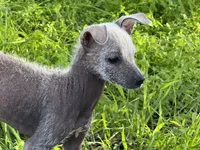 processed/bef5fd14-68c0-4b0a-bd87-492e32907841/listing/3e7c9a34-9de6-4fe3-aef3-4402349aeb8c/ffaa6507-27bb-478c-be7e-77a8a000eb35