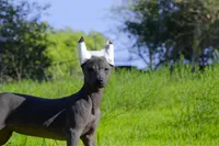 processed/bef5fd14-68c0-4b0a-bd87-492e32907841/listing/60d7d134-111c-4dd5-aa01-e56db56422f9/0d3e2994-3d46-4db7-889b-84cc7b032c66