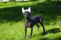 processed/bef5fd14-68c0-4b0a-bd87-492e32907841/listing/60d7d134-111c-4dd5-aa01-e56db56422f9/61b22408-e553-4b9a-be71-76ccf10ae2e9