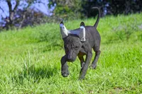 processed/bef5fd14-68c0-4b0a-bd87-492e32907841/listing/60d7d134-111c-4dd5-aa01-e56db56422f9/79013576-1478-436e-8ebf-fe27e1d8c5dd