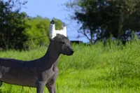 processed/bef5fd14-68c0-4b0a-bd87-492e32907841/listing/60d7d134-111c-4dd5-aa01-e56db56422f9/9fa93bc9-c97f-472a-a170-c9bf64f37725