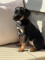 processed/bef5fd14-68c0-4b0a-bd87-492e32907841/listing/ad94b46c-3246-4d9c-a461-dffd0dc87c36/ea604224-02f9-44df-a5a0-9b13ce75af83