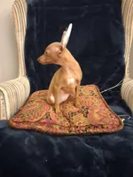 Rudy, a female Miniature Pinscher for sale in Baltimore, MD – 4 of 4