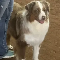 processed/bf07586b-1b01-4fd2-aca6-afbb6258ab94/facility/0166dcda-7201-4b77-9fff-32260e1d3e72