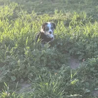 processed/bf07586b-1b01-4fd2-aca6-afbb6258ab94/facility/6c4c6171-44ae-459c-8ea7-627b946373a8