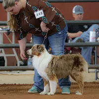 processed/bf07586b-1b01-4fd2-aca6-afbb6258ab94/facility/75705d0e-0905-4c0e-8152-77406007a7ad