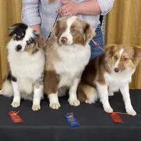 processed/bf07586b-1b01-4fd2-aca6-afbb6258ab94/facility/ca455548-faf4-4d04-9141-0281d356f564