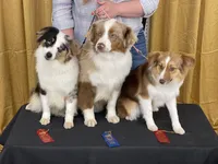 processed/bf07586b-1b01-4fd2-aca6-afbb6258ab94/facility/ca455548-faf4-4d04-9141-0281d356f564