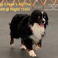 processed/bf07586b-1b01-4fd2-aca6-afbb6258ab94/facility/d71b961b-bab8-4858-956b-b0fae72974bf