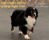 processed/bf07586b-1b01-4fd2-aca6-afbb6258ab94/facility/d71b961b-bab8-4858-956b-b0fae72974bf