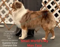 processed/bf07586b-1b01-4fd2-aca6-afbb6258ab94/facility/ef517511-03f6-438d-9d03-4d06b836defc