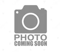 Male 1, a male Maltipoo for sale in Jasper, MO – 1 of 1