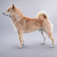 processed/bf07586b-1b01-4fd2-aca6-afbb6258ab94/listing/fdcaf238-304c-406d-a4fa-a79dc0846d47/354b6039-dad8-4054-bccd-0a1133c77af3