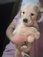 processed/bf0ca47e-afbc-44a2-9510-1b1879ed16b9/listing/0fefe68f-e069-49ad-a4d1-6e47de648e4d/65b7052a-da2b-44d5-9f6b-f6633fb90f14