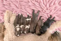 processed/bf2d28ab-45c3-44ba-b01c-afc4421cceea/facility/11ef18f4-0af7-4d8c-a0c0-8bc1e6c9ec32