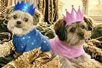 processed/bf2d28ab-45c3-44ba-b01c-afc4421cceea/facility/6c42f7d0-3a19-4696-861a-f7e531961ea2