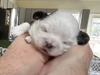 processed/bf2e9b17-9b48-41b7-b24d-7bcca317ae63/listing/56eea40b-3c06-43cc-8ed5-1933f225c855/22aadd89-a392-4a14-80cf-9918236fca60