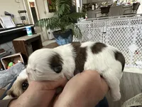 processed/bf2e9b17-9b48-41b7-b24d-7bcca317ae63/listing/56eea40b-3c06-43cc-8ed5-1933f225c855/5ef89d90-9cf6-4df0-9d7d-d5fb6d4a83a6