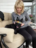 Adelaide, a female Scottish Terrier for sale in Halfmoon, NY – Photo 5 of 7