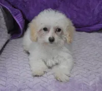 processed/bf3c5f28-f69a-4cb3-827c-6429339fd218/listing/3a13b886-4966-4372-9df4-a00d7b13a43d/1bce818f-b8a1-4e09-b211-1d9aec129ad5