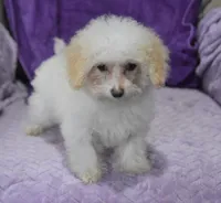 processed/bf3c5f28-f69a-4cb3-827c-6429339fd218/listing/3a13b886-4966-4372-9df4-a00d7b13a43d/9352b682-1623-4bbc-8981-446dfd7c7b31