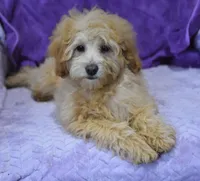 processed/bf3c5f28-f69a-4cb3-827c-6429339fd218/listing/aadac742-d65a-49d4-a789-9a233d7c9379/268f2f24-35ff-4df5-bd07-5ab56c74e1a0