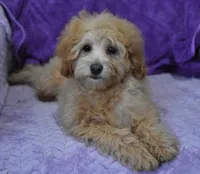 processed/bf3c5f28-f69a-4cb3-827c-6429339fd218/listing/aadac742-d65a-49d4-a789-9a233d7c9379/8ad7f7aa-38f6-4f3c-8132-fa76577d5afd