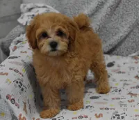 processed/bf3c5f28-f69a-4cb3-827c-6429339fd218/listing/aadac742-d65a-49d4-a789-9a233d7c9379/e8bc4324-958a-426b-b214-54a812ac4eeb