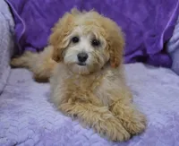 processed/bf3c5f28-f69a-4cb3-827c-6429339fd218/listing/aadac742-d65a-49d4-a789-9a233d7c9379/f54de6f3-ee76-45c0-ae63-df251df26bf5