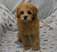 processed/bf3c5f28-f69a-4cb3-827c-6429339fd218/listing/aadac742-d65a-49d4-a789-9a233d7c9379/fc593c7c-13a3-474d-8570-9fe48dc84b63