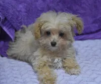 processed/bf3c5f28-f69a-4cb3-827c-6429339fd218/listing/c5cec496-a5e4-4a61-a1d4-2bc90ff8870c/22c8ee1e-aa85-4064-869a-5a0094fa4678