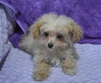 processed/bf3c5f28-f69a-4cb3-827c-6429339fd218/listing/c5cec496-a5e4-4a61-a1d4-2bc90ff8870c/2ec1b99f-7cea-41f0-b78a-53904f307cd6