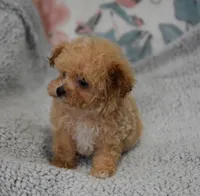 processed/bf3c5f28-f69a-4cb3-827c-6429339fd218/listing/c5cec496-a5e4-4a61-a1d4-2bc90ff8870c/30a6c945-0220-4b6b-ac2e-e1fa8be7786f