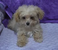 processed/bf3c5f28-f69a-4cb3-827c-6429339fd218/listing/c5cec496-a5e4-4a61-a1d4-2bc90ff8870c/34a75230-a836-40ff-929e-ad2a3584ce78