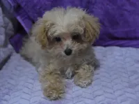 processed/bf3c5f28-f69a-4cb3-827c-6429339fd218/listing/c5cec496-a5e4-4a61-a1d4-2bc90ff8870c/47f1ca6e-2367-4d0e-8695-4ecb4670a93f