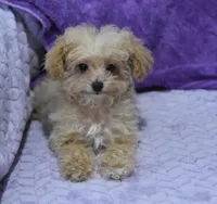 processed/bf3c5f28-f69a-4cb3-827c-6429339fd218/listing/c5cec496-a5e4-4a61-a1d4-2bc90ff8870c/7fc157d0-0889-4262-abe3-54fb5aa77b67