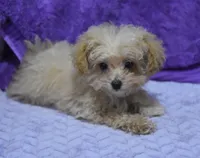 processed/bf3c5f28-f69a-4cb3-827c-6429339fd218/listing/c5cec496-a5e4-4a61-a1d4-2bc90ff8870c/c8007d28-b5ff-4431-9d6f-06eac7d66e93