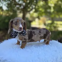 processed/bf3e775d-800e-41a4-9f67-aa8c113fb503/facility/d929756e-1790-4f3a-9147-707e8b0adc84