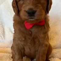 processed/bf41eeb8-ed3a-4013-a46c-8e303ab24451/facility/9fd8ab58-e824-42c5-85ca-d4556aa1f4d0