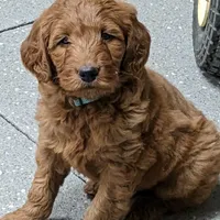 processed/bf41eeb8-ed3a-4013-a46c-8e303ab24451/facility/d4f00b3a-5455-420d-8b7e-1b2bffb3a639