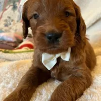 processed/bf41eeb8-ed3a-4013-a46c-8e303ab24451/facility/dc8d7c3a-0669-4545-bb3a-ad3bcf832ffa