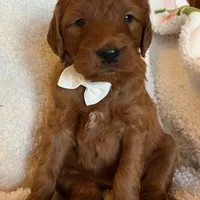 processed/bf41eeb8-ed3a-4013-a46c-8e303ab24451/facility/de16cf1d-96be-4ca5-8a34-3dc23f32b6cc