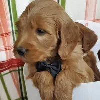 processed/bf41eeb8-ed3a-4013-a46c-8e303ab24451/facility/ea4dcb64-be4b-4f67-b81f-7f32e78a5065