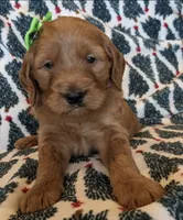 processed/bf41eeb8-ed3a-4013-a46c-8e303ab24451/listing/35739dae-8267-4ee8-b99a-70dfbfd796a5/84595301-80af-4ad0-9cb5-fff7a6c488fd