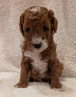 processed/bf41eeb8-ed3a-4013-a46c-8e303ab24451/listing/91895d4a-218a-4a0b-b8eb-734240231ca9/013744f3-17bc-4e5a-b489-cf223235e30d