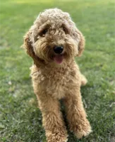 processed/bf41eeb8-ed3a-4013-a46c-8e303ab24451/listing/b85acf8f-aa72-4633-84b6-24fb0d9c0d5c/0eab1f27-50b0-4f99-bd62-7b85173228d3