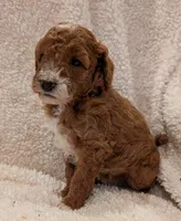 processed/bf41eeb8-ed3a-4013-a46c-8e303ab24451/listing/b85acf8f-aa72-4633-84b6-24fb0d9c0d5c/be794233-c90a-48e9-9cd9-f203e5805935